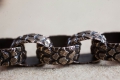 HD catene pelle di drago06